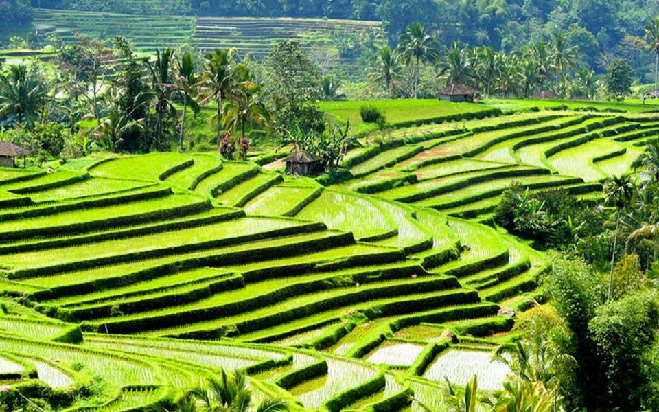 5 Tempat Wisata di Bali Ini Cocok untuk Introvert, Bebas Bising!