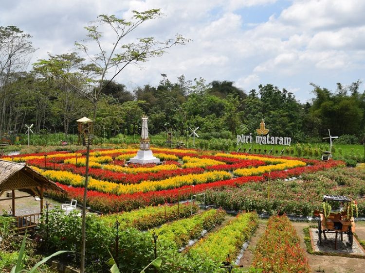 14 Pilihan Agrowisata Buah Di Yogyakarta Buat Libur Lebaranmu