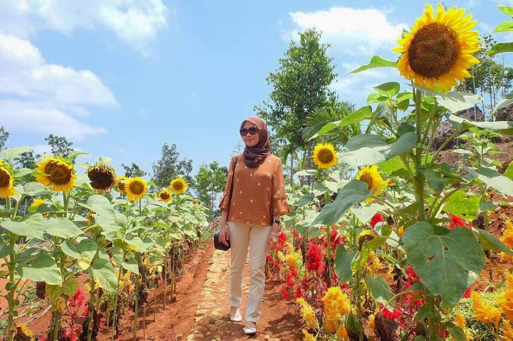 5 Objek Wisata Taman Di Yogyakarta Yang Cocok Untuk Tamasya