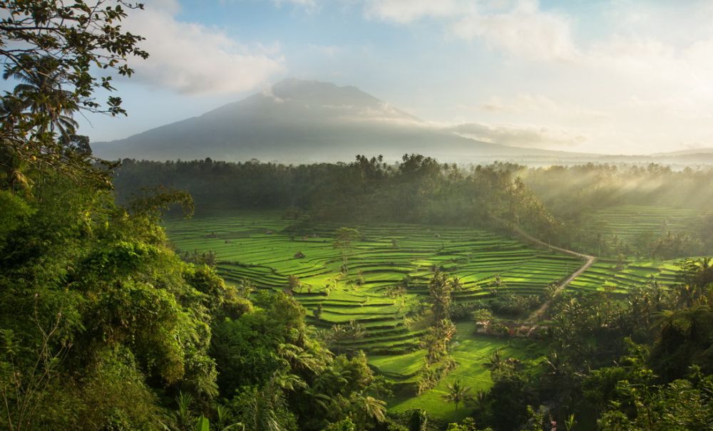 5 Tempat Wisata di Bali Ini Cocok untuk Introvert, Bebas Bising!