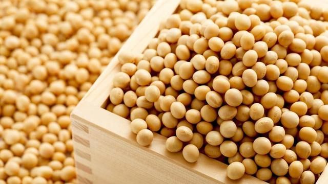 Harga Kacang Kedelai Impor Terus Naik, Pengrajin Tahu Setop Produksi 