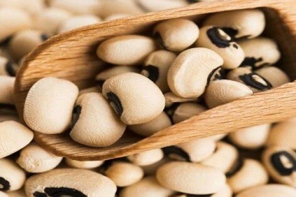 Fakta Manfaat Hebat Kacang Tolo