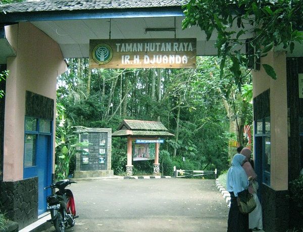 10 Destinasi Alam yang Wajib Dikunjungi Selama Liburan di Bandung