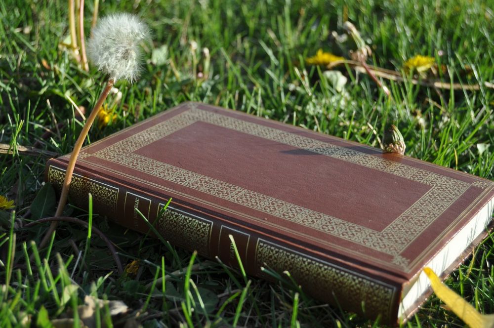  bahkan puluhan kali menulis artikel dan belum satupun dipublikasikan Sang Penentu Nasib Artikel yang Punya Tanggung Jawab Ekstra