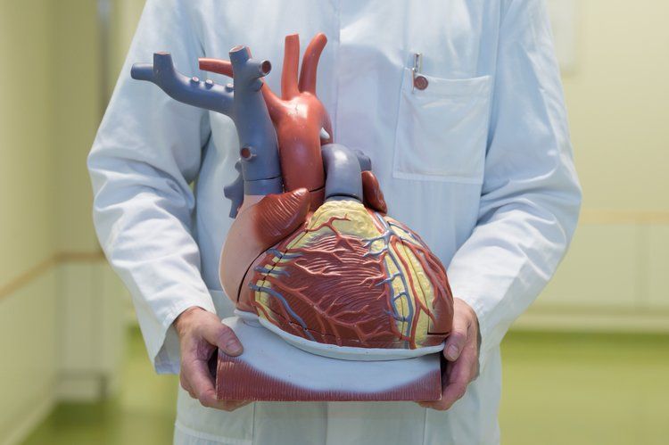 7 Penyebab Penyakit Jantung di Usia Muda yang Perlu Kamu Waspadai