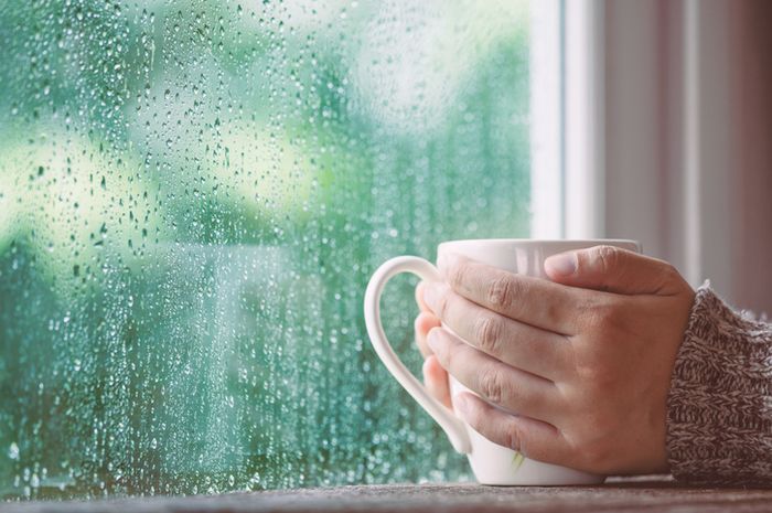 Fakta Ilmiah Seputar Petrichor, Wewangian Khas Ketika Turun Hujan