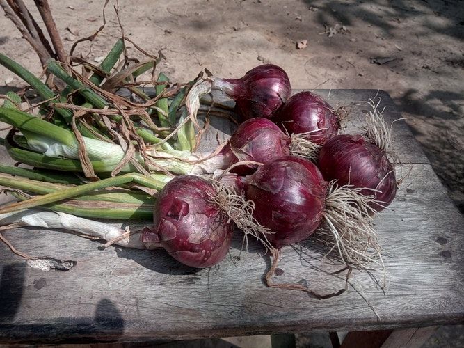 5 Manfaat Kulit Bawang Merah Bagi Kesehatan Bantu Atasi Sembelit