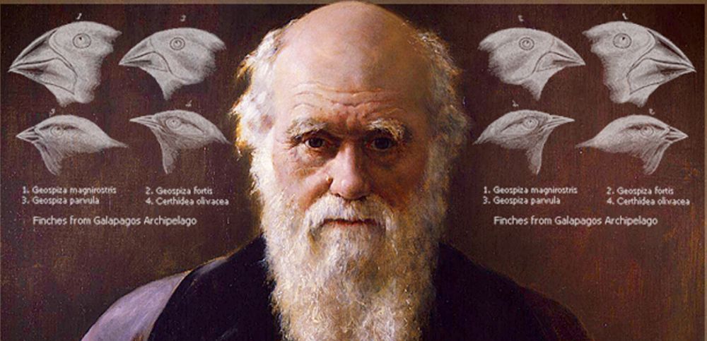 Kisah Hidup Charles Darwin, Bapak Teori Evolusi Yang Mendunia