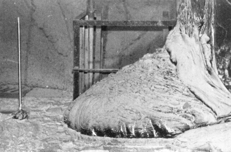 11 Fakta yang Tak Pernah Diungkapkan dari Tragedi Chernobyl
