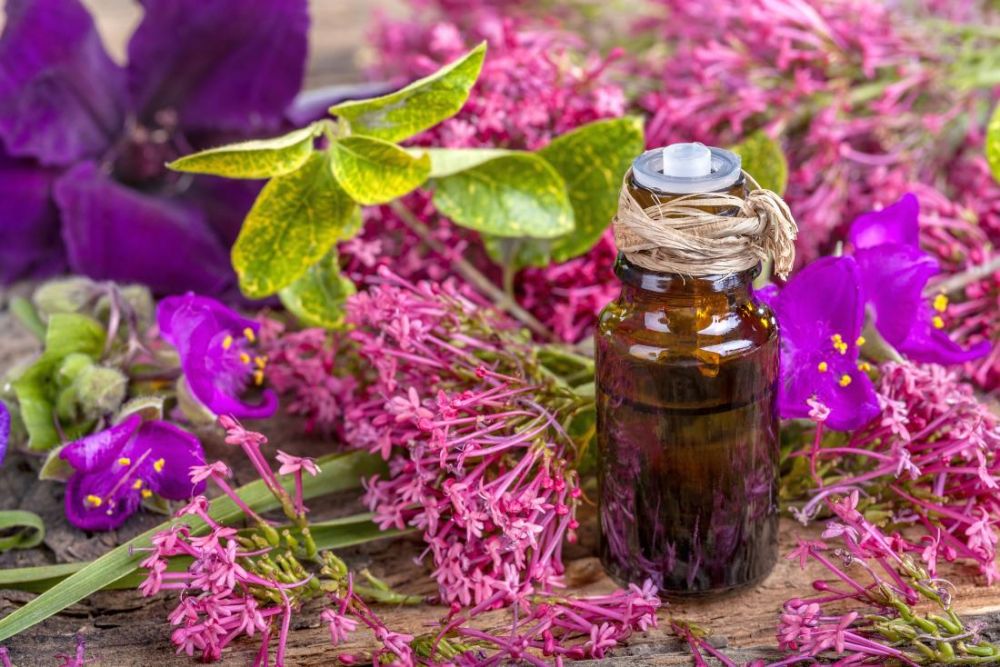 5 Tumbuhan Herbal Ini Bisa Mengatur Hormonmu dengan Baik