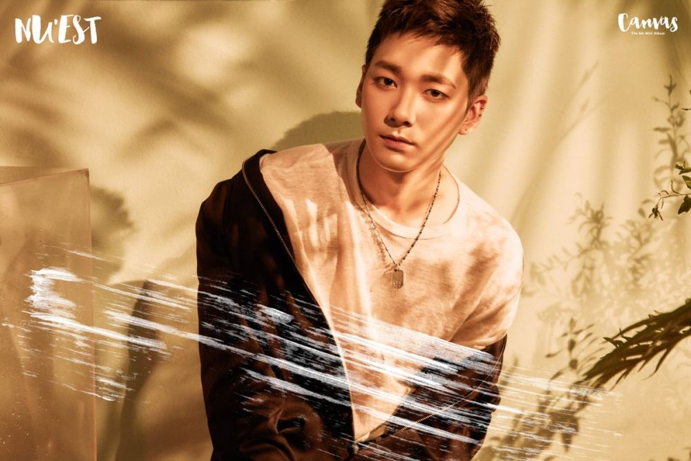 Bukan Blasteran, 16 Idol KPop Ini Ternyata Lahir dan Besar di Amerika