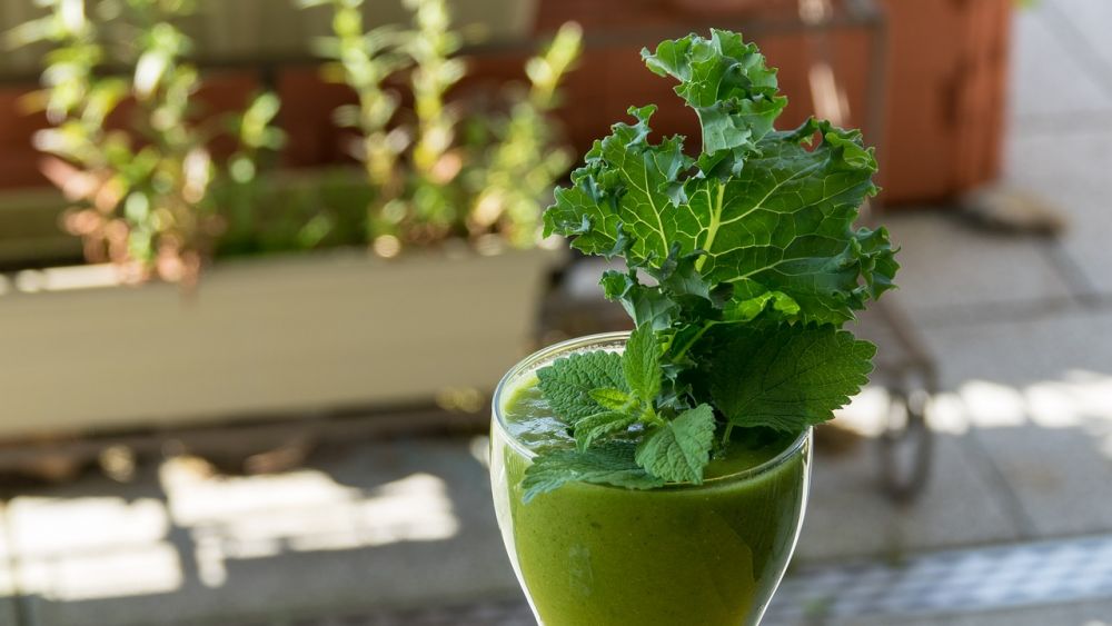 5 Khasiat Sayur Kale, Ampuh Menjaga Kesehatan Mulut Lho! 