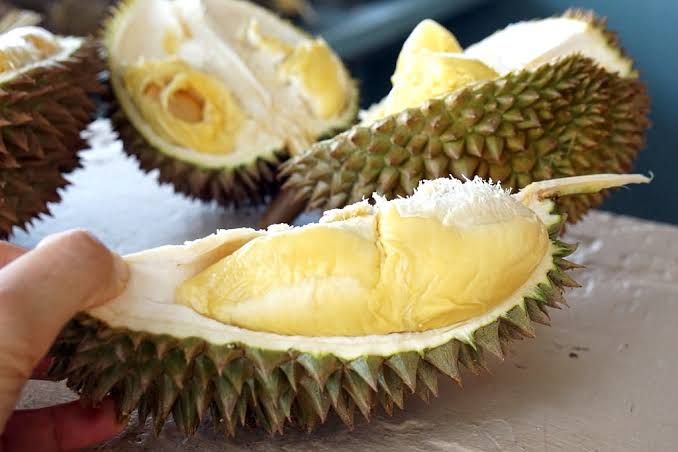 7 Fakta Durian, Si Raja Buah dari Asia Tenggara 