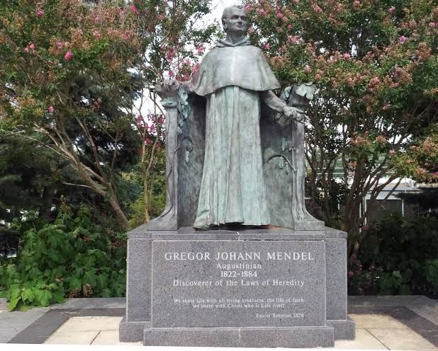 Gregor Mendel: Petani, Biarawan, dan Bapak Genetika Modern