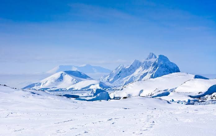 5 Fakta Menarik Perbedaan Kutub Utara vs. Kutub Selatan, Sudah Tahu?