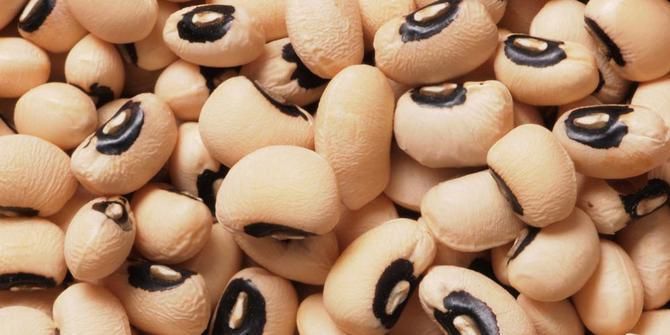 9 Jenis Kacang Populer Di Nusantara Dengan Berbagai Manfaatnya