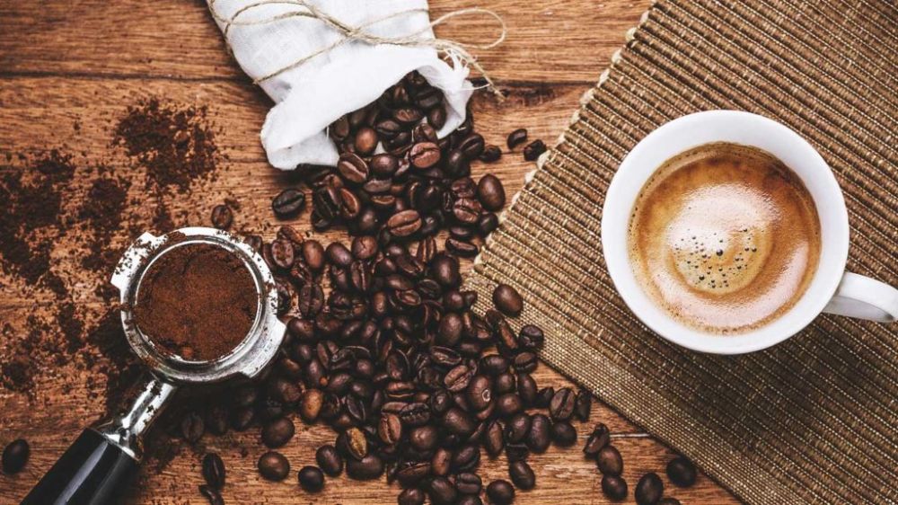 Mengenal Bat Coffee Lampung, Biji Kopi Telah Dimakan Kelelawar