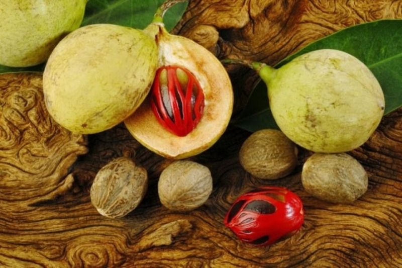 7 Kuliner Khas Papua yang Bisa Kamu Coba Saat Mengunjunginya