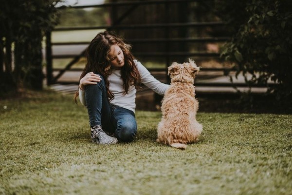 Centil Banget 10 Potret Lucu Anjing Sebagai Foodies Hits