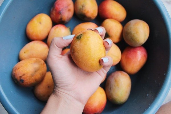 Kaya Akan Vitamin C Ini 6 Manfaat Buah Mangga Bagi Kesehatan