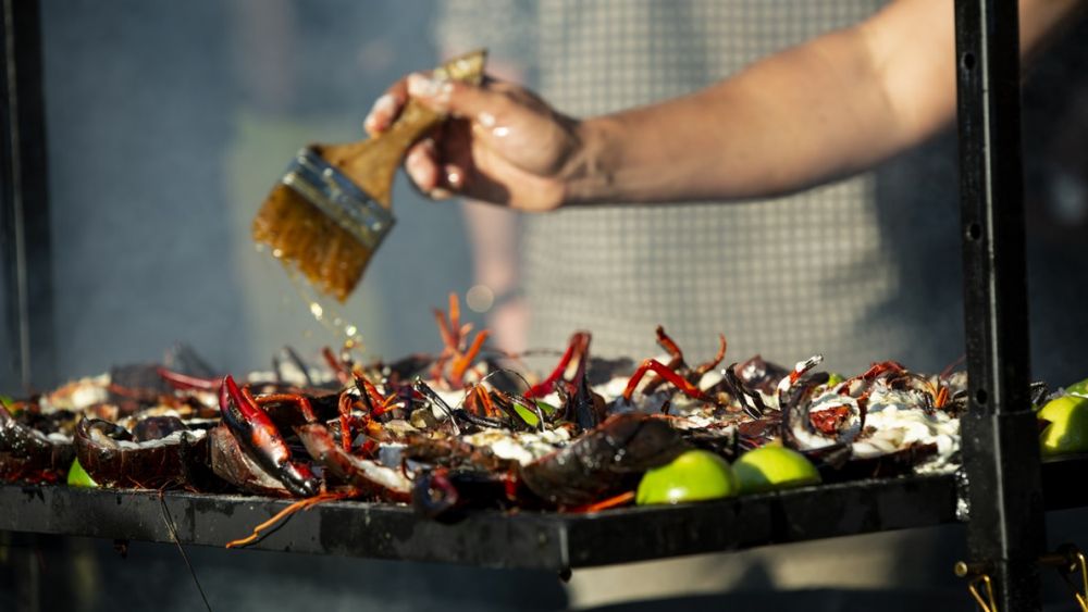 7 Bahaya pada Kesehatan Jika Terlalu Sering Makan Seafood