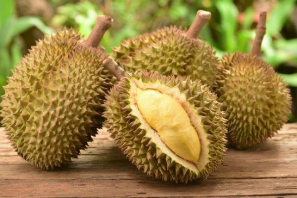 7 Fakta Durian, Si Raja Buah dari Asia Tenggara 