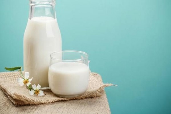 Ini Dia 5 Manfaat Susu Kambing Etawa yang Harus Diketahui