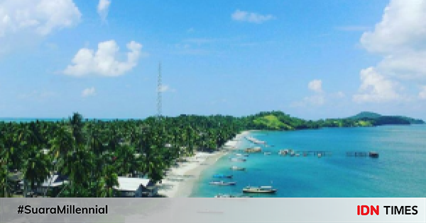 Waspadai Ubur Ubur Wisatawan Dilarang Berenang Di Pulau Panjang