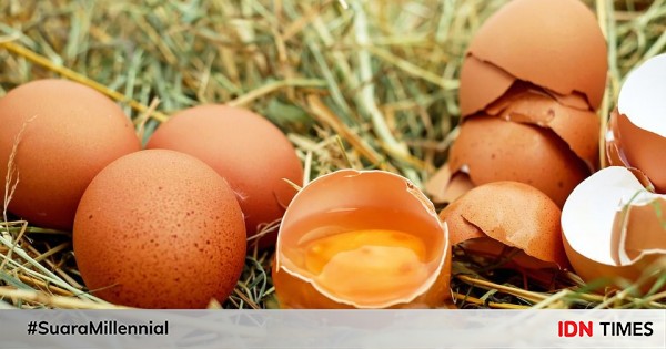 5 Manfaat Putih Telur Bagi Kesehatan Dan Pertumbuhan Otot