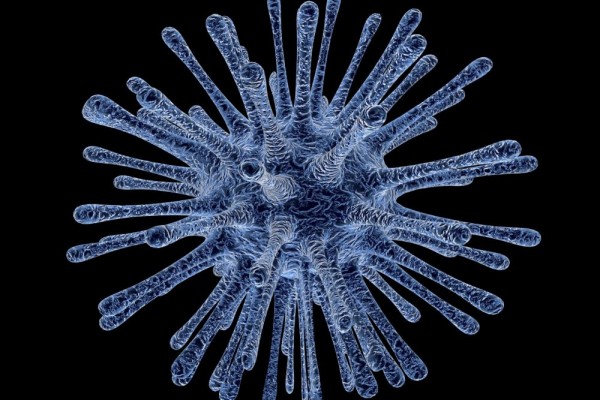 Hepatitis A Serang Hampir 1000 Orang di Pacitan, Kenali Penularannya!