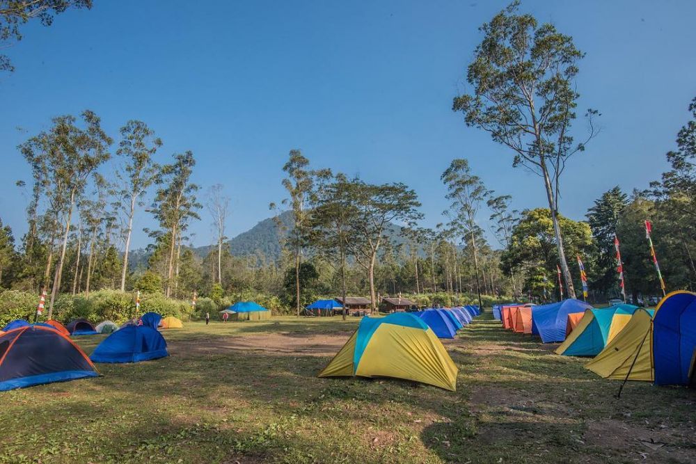 6 Pesona Wisata Ranca Upas Tempat Berkemah Di Bandung