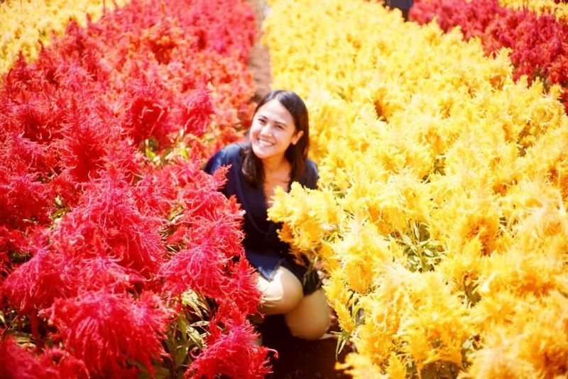 9 Wisata Taman Bunga Celosia Di Indonesia Yang Nuansanya Ala