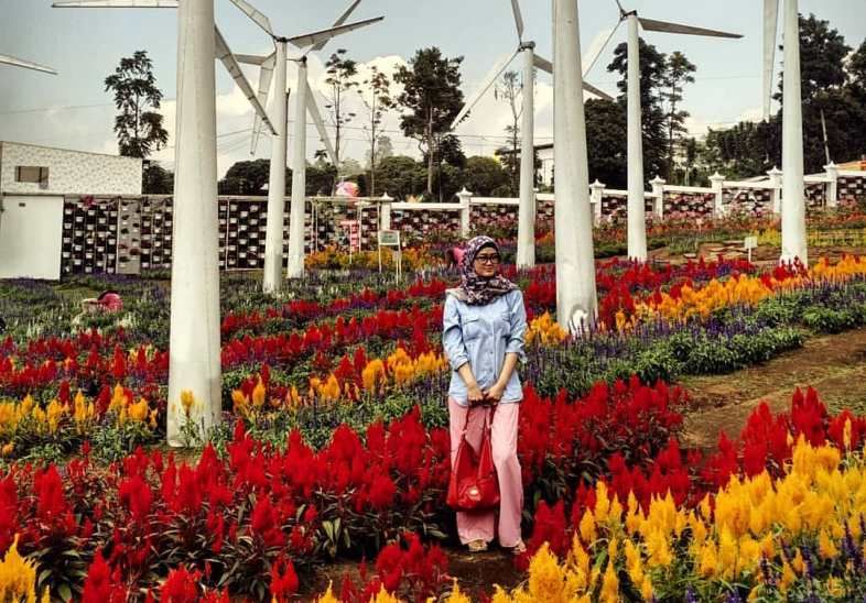 9 Wisata Taman Bunga Celosia Di Indonesia Yang Nuansanya Ala