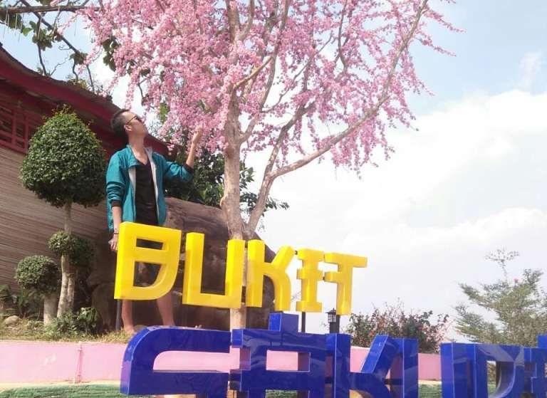 7 Tempat  Wisata di  Indonesia  dengan Spot Bunga  Sakura  Cantik