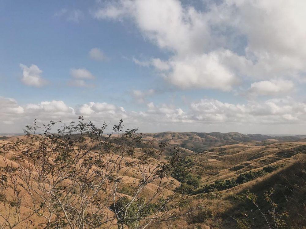 6 Alasan Utama Kamu Wajib ke Bukit Wairinding NTT Sekali Seumur Hidup