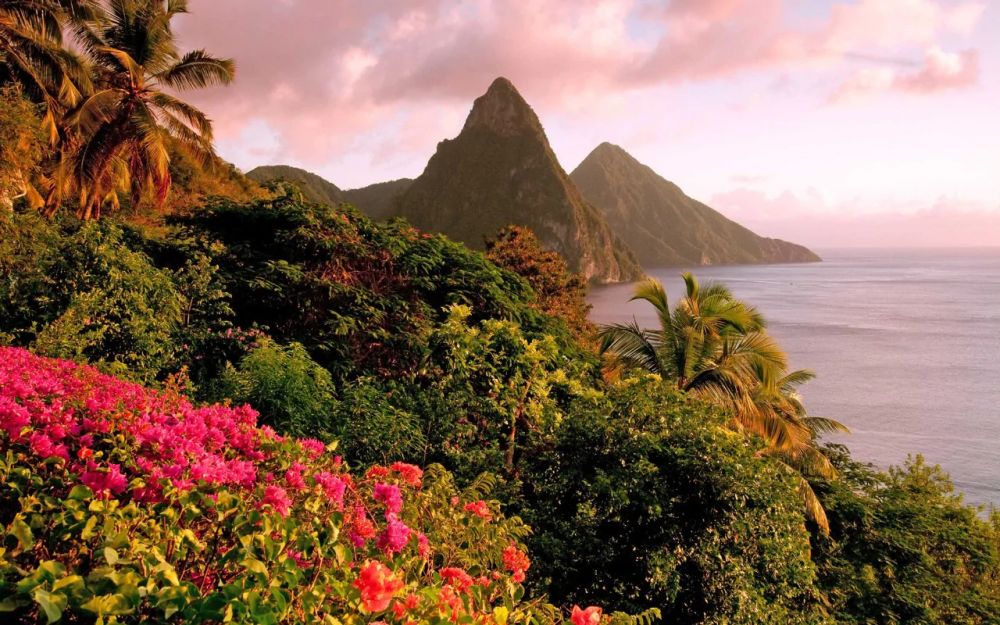 8 Wisata Keren di Saint Lucia, Destinasi Bulan Madu Terfavorit!