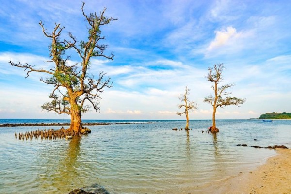 5 Fakta Unik Lhok Mee Pantai Pasir Putih Yang Memesona Di Aceh