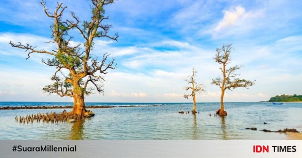 5 Fakta Unik Lhok Mee Pantai Pasir Putih Yang Memesona Di Aceh