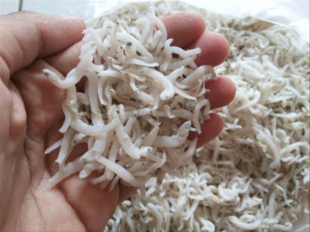 Resep Membuat Nasi Goreng Teri Medan, Dijamin Bikin Ketagihan!
