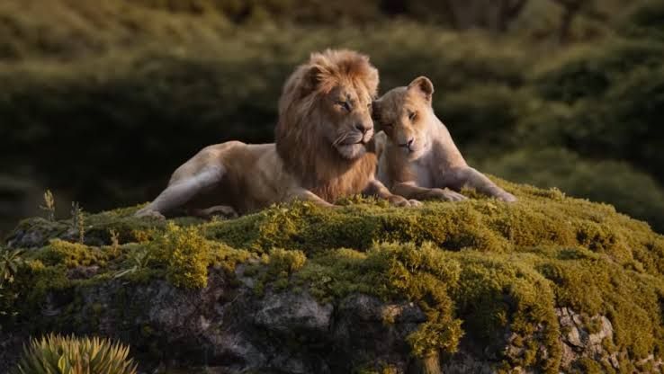 5 Pesan Moral Film The Lion King Bikin Kamu Bijak Jalani Hidup