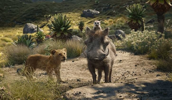 5 Pesan Moral Film The Lion King Bikin Kamu Bijak Jalani Hidup