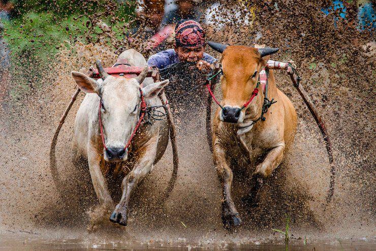 15 Tempat Wisata di Batusangkar Sumatera Barat Terpopuler