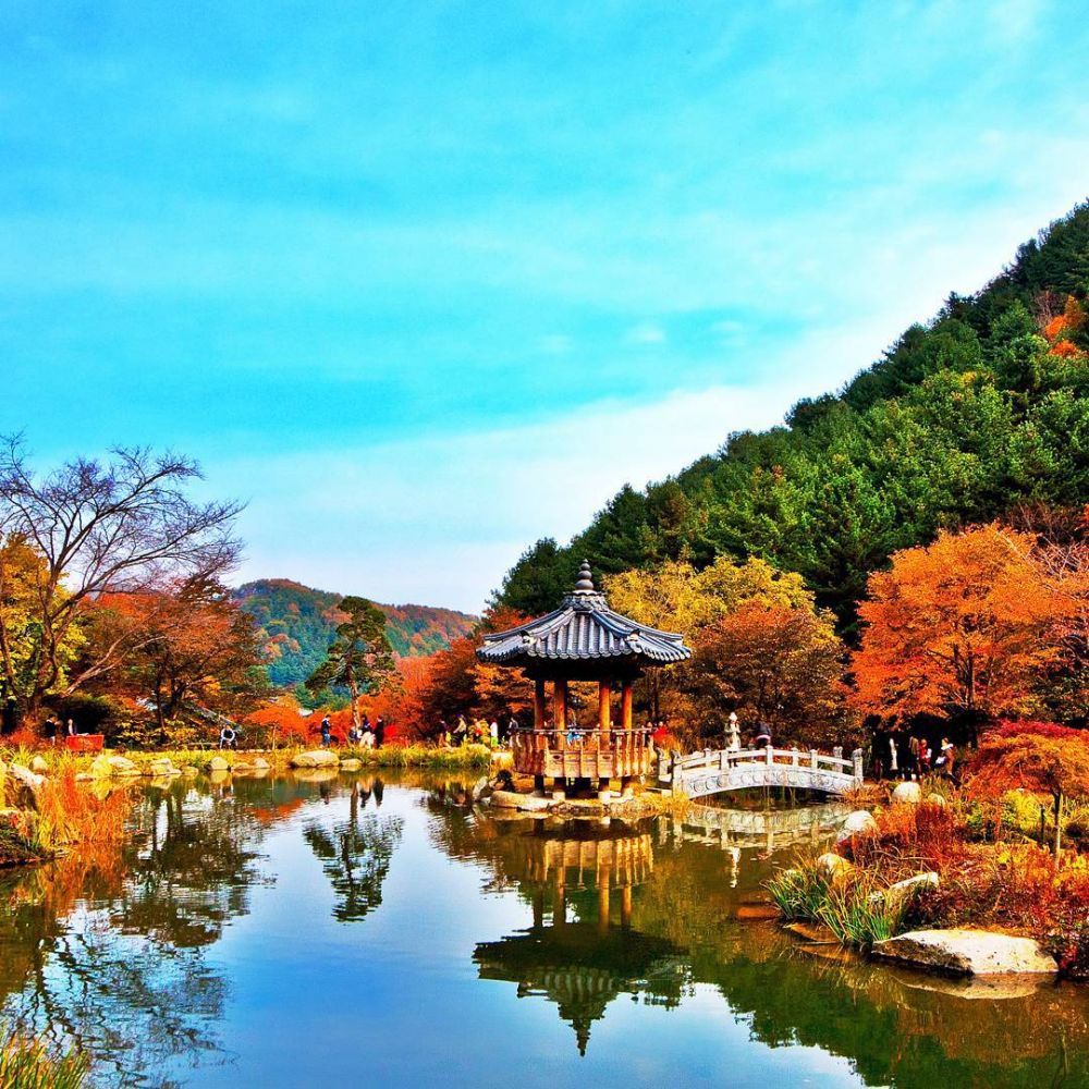 15 Pesona The Garden of Morning Calm di Korea Selatan, Instagenic!