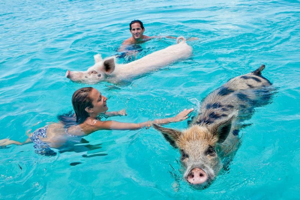 6 Destinasi Wisata yang 'Dihancurkan' Wisatawan Setiap Hari