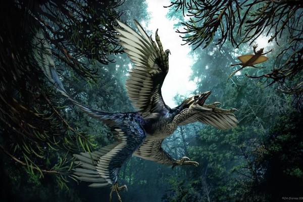 7 Dinosaurus Ini Tergolong Yang Terkecil Di Dunia