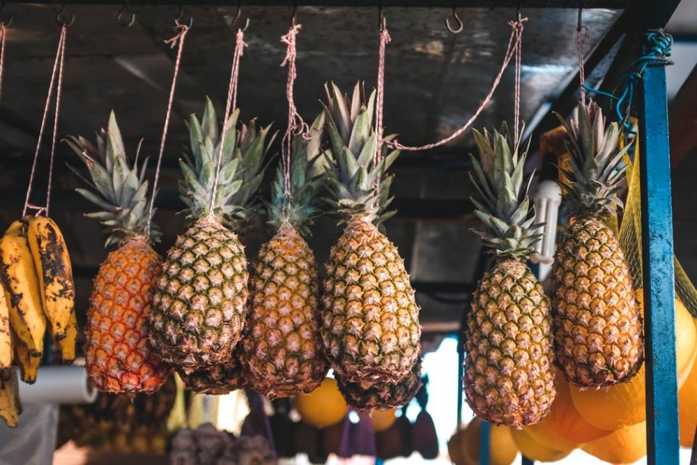 14 Manfaat Daun  Nanas  untuk  Kesehatan Tubuh