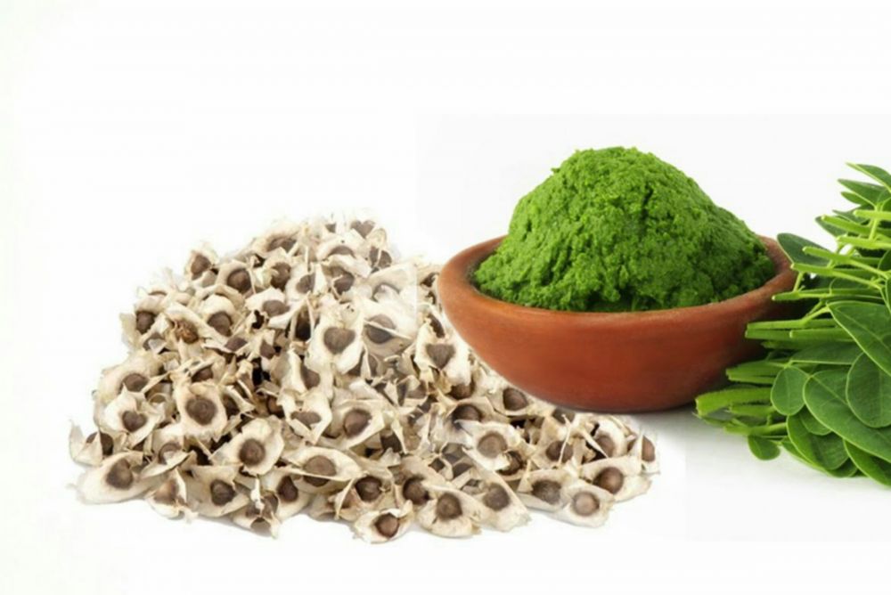 Organicals silk. Organicals Moringa. Лечебные семена Moringa. Organicals Moringa праймер. Чай моринги Нефертити.