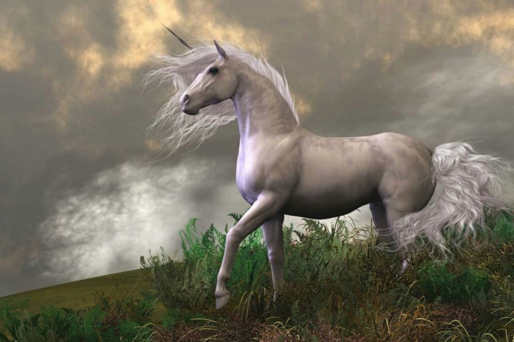 Hasil gambar untuk Unicorn adalah lambang kerajaan Skotlandia