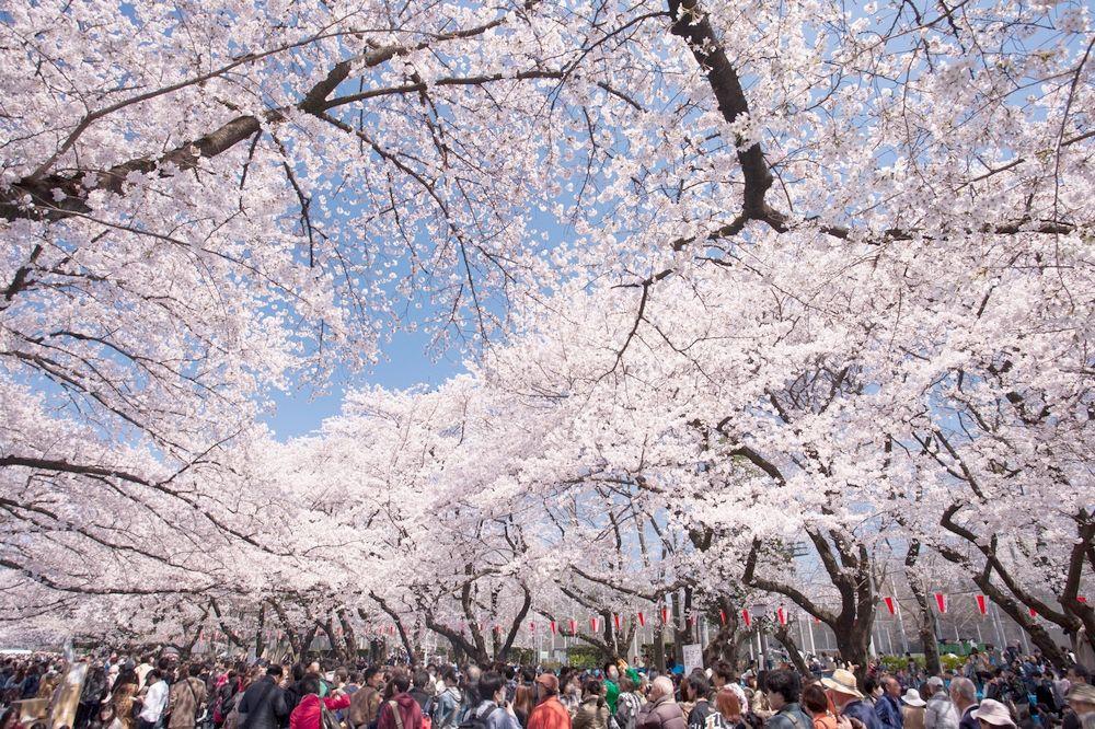 5 Tempat Wisata Klasik di Tokyo yang Worth It untuk Dikunjungi