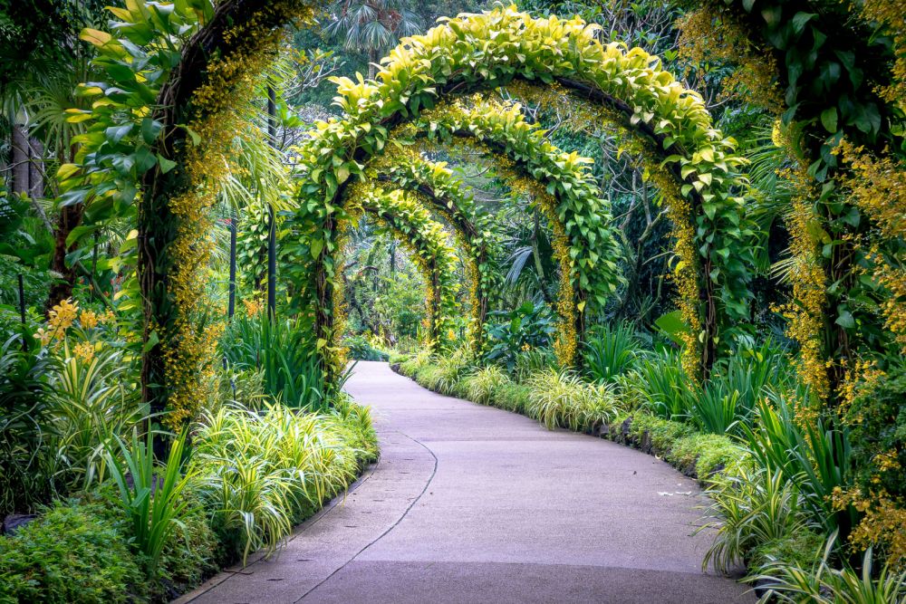 direview id 5 Kebun Bunga  dan Taman  Botani di  Singapura 